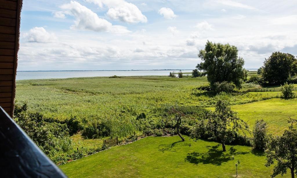 Appartement Haus Am Bodden 03 à Ahrenshoop Extérieur photo
